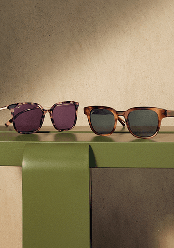 Two pairs of sunglasses on a green surface: pink tortoiseshell with purple lenses, and brown tortoiseshell with dark grey lenses.